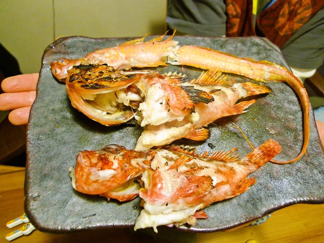 a0182281_14431015.jpg