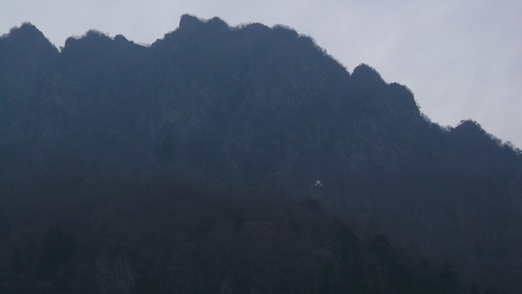 雨の予報だが作業場に～_c0212083_2293054.jpg