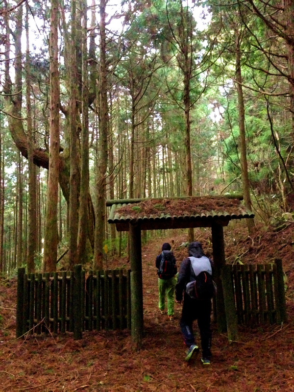 高知県安芸郡 Fastpacking in Noneyama 野根山街道 Day.2 2014/03/17-18_b0220886_23163138.jpg