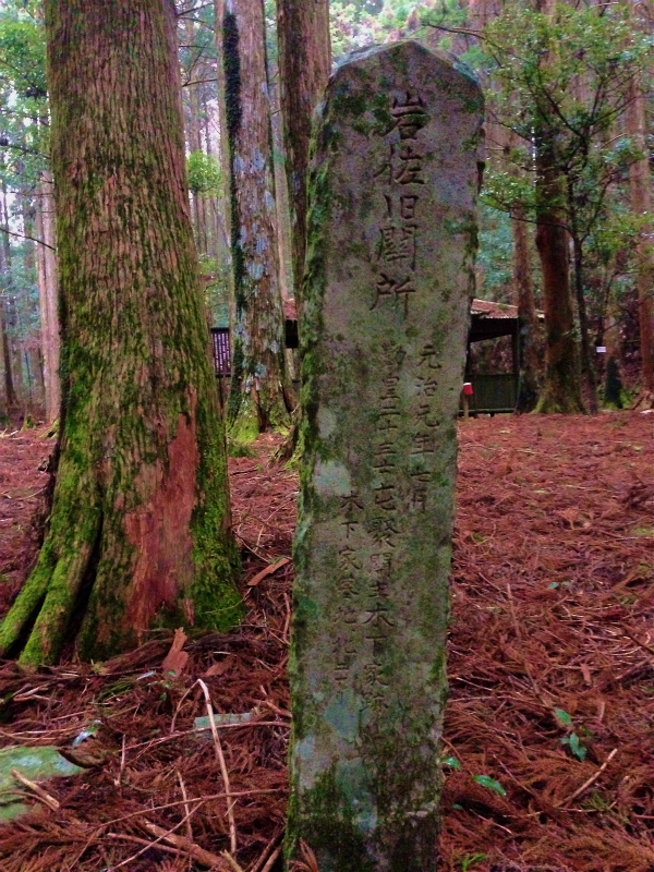 高知県安芸郡 Fastpacking in Noneyama 野根山街道 Day.2 2014/03/17-18_b0220886_23174848.jpg