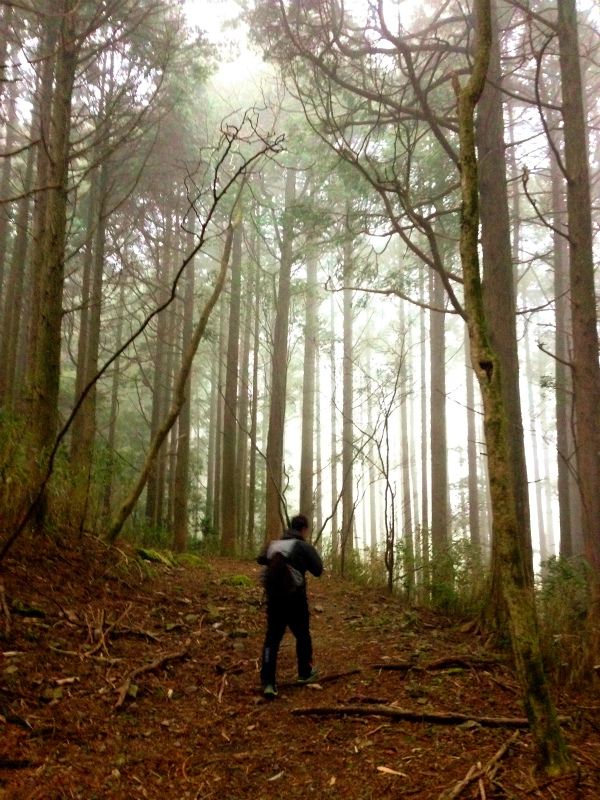高知県安芸郡 Fastpacking in Noneyama 野根山街道 Day.2 2014/03/17-18_b0220886_23181421.jpg