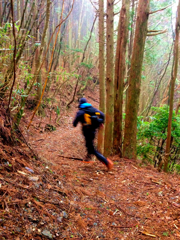 高知県安芸郡 Fastpacking in Noneyama 野根山街道 Day.2 2014/03/17-18_b0220886_23182449.jpg