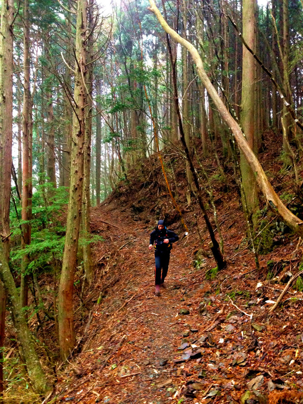 高知県安芸郡 Fastpacking in Noneyama 野根山街道 Day.2 2014/03/17-18_b0220886_2318404.jpg