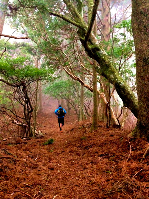 高知県安芸郡 Fastpacking in Noneyama 野根山街道 Day.2 2014/03/17-18_b0220886_23192123.jpg