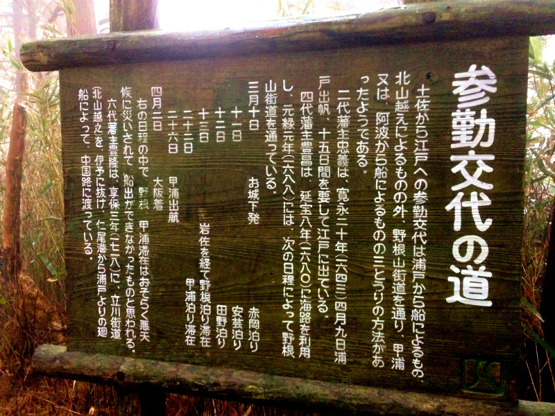 高知県安芸郡 Fastpacking in Noneyama 野根山街道 Day.2 2014/03/17-18_b0220886_23285641.jpg