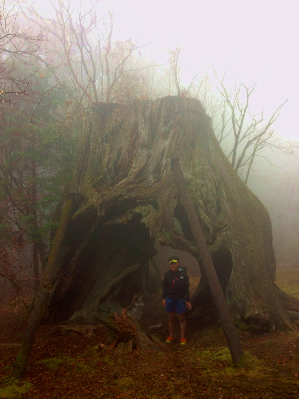 高知県安芸郡 Fastpacking in Noneyama 野根山街道 Day.2 2014/03/17-18_b0220886_2329145.jpg