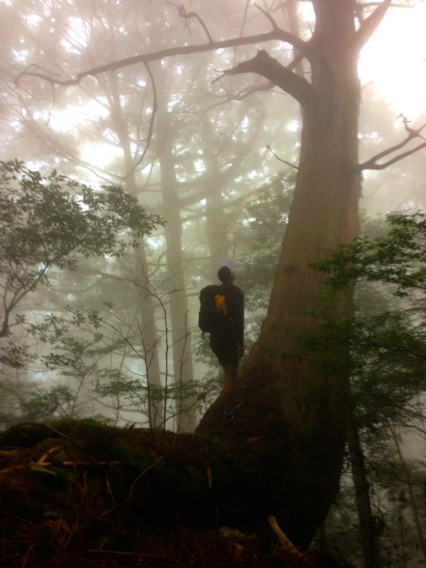 高知県安芸郡 Fastpacking in Noneyama 野根山街道 Day.2 2014/03/17-18_b0220886_2330036.jpg