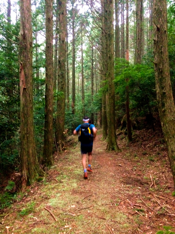 高知県安芸郡 Fastpacking in Noneyama 野根山街道 Day.2 2014/03/17-18_b0220886_23303913.jpg