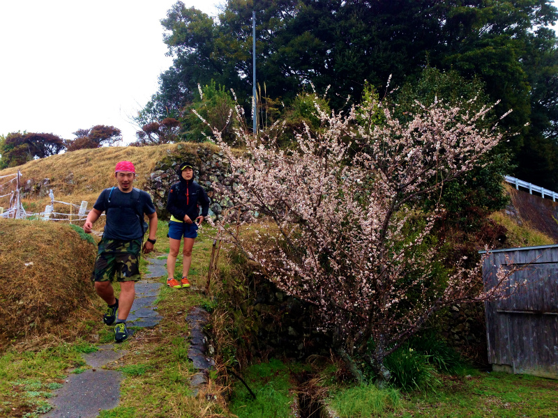 高知県安芸郡 Fastpacking in Noneyama 野根山街道 Day.2 2014/03/17-18_b0220886_23352094.jpg