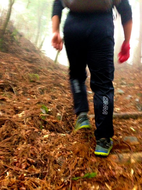 高知県安芸郡 Fastpacking in Noneyama 野根山街道 Day.2 2014/03/17-18_b0220886_23475356.jpg