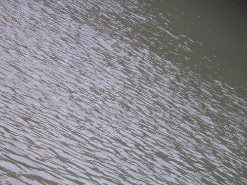 e0203793_21193377.jpg