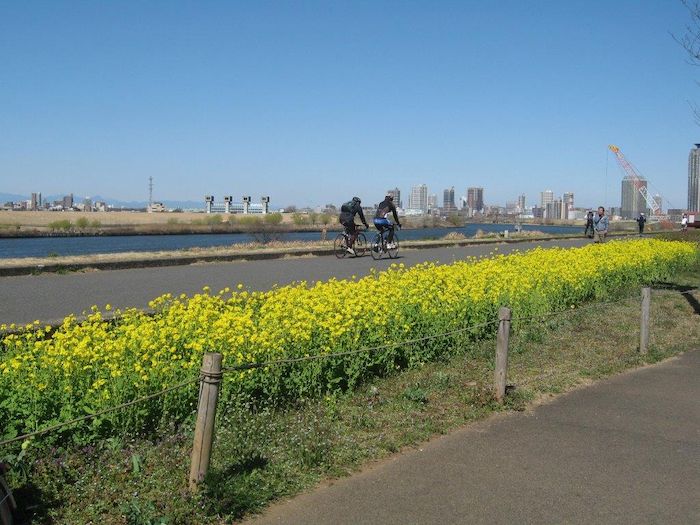 『芝川ＣＲ＆見沼代用水ＣＲポタリング／関東の富士見百景』　stm-2_a0104495_764100.jpg