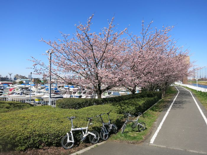 『芝川ＣＲ＆見沼代用水ＣＲポタリング／芝川』　stm-3_a0104495_9464447.jpg