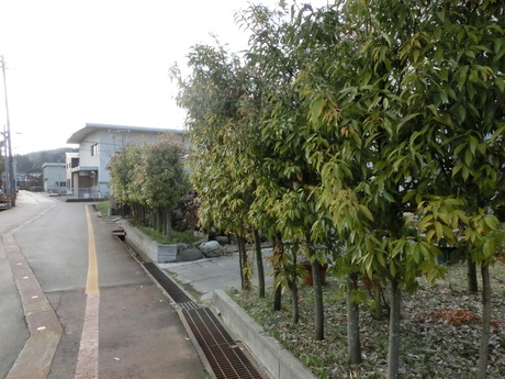a0203003_20151353.jpg