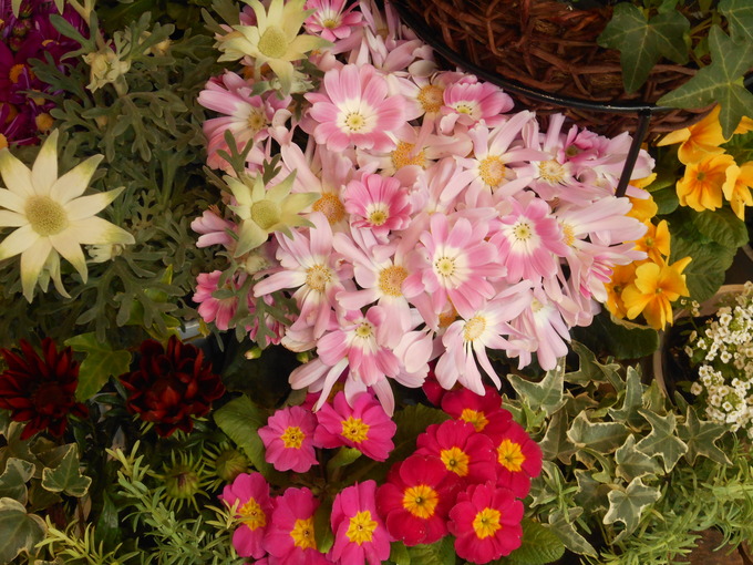 d0168003_18585870.jpg