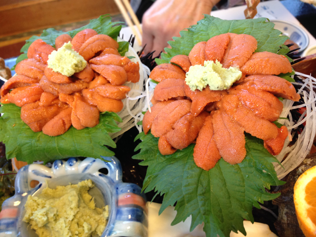 そうだ、女王様に会いに行こう！その３（湯河原＆真鶴／お食事「うに清」編）_c0227407_16355472.jpg