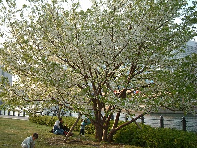 f0129610_10361312.jpg