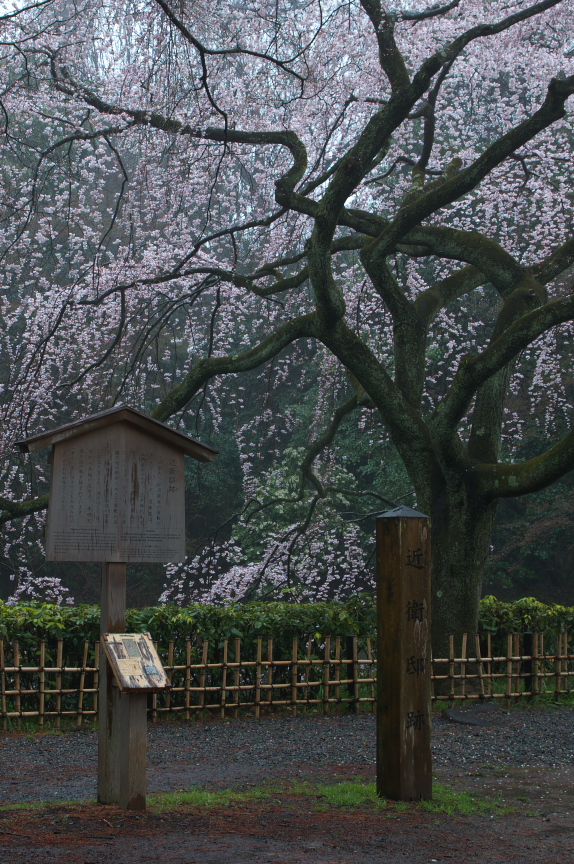 京都御苑・近衞邸跡_f0221510_225684.jpg