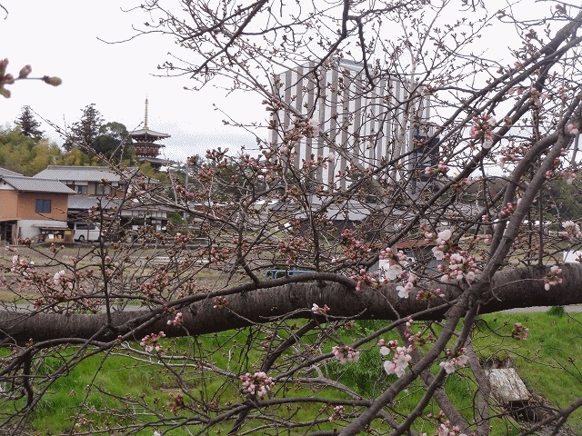 d0330311_15551948.gif