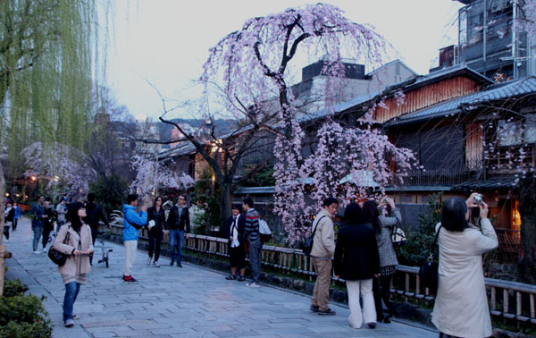 14桜始まる3 祇園白川_e0048413_21441763.jpg