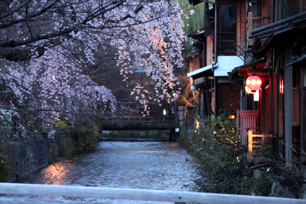 14桜始まる3 祇園白川_e0048413_21445920.jpg