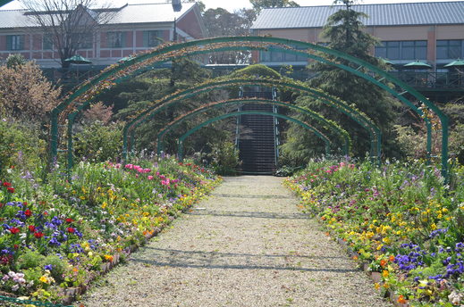 春のお花見ごろになってきました♪_e0135518_177508.jpg