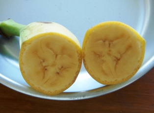 バナナの味くらべ:新種?_a0043520_21405322.jpg