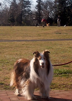 a0053420_17171440.jpg