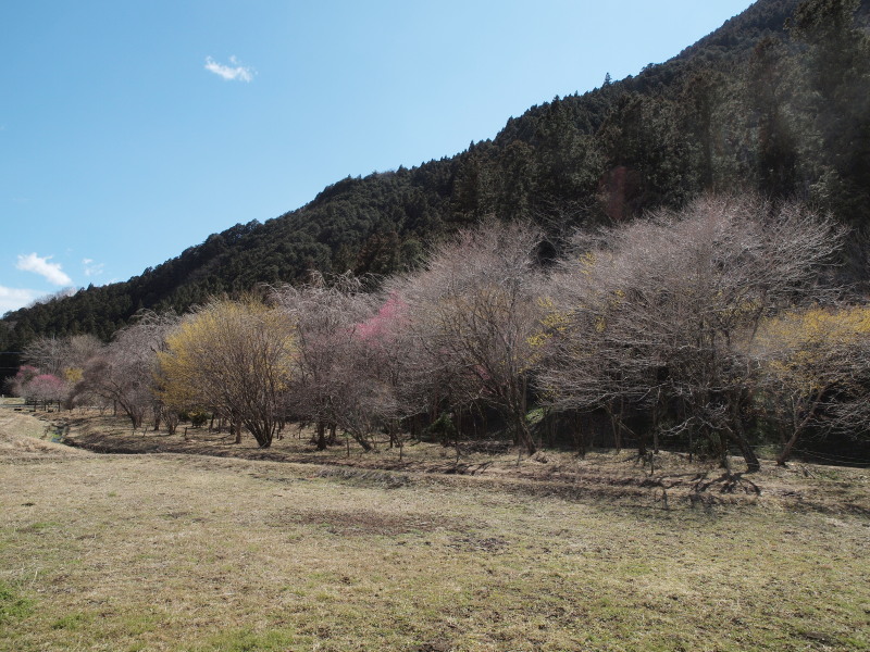 四季の森星野＠栃木_c0085622_9583968.jpg