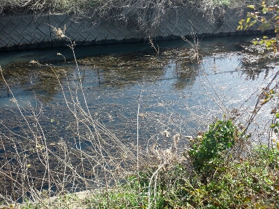 b0259124_915416.jpg