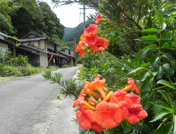 f0213825_17183964.jpg