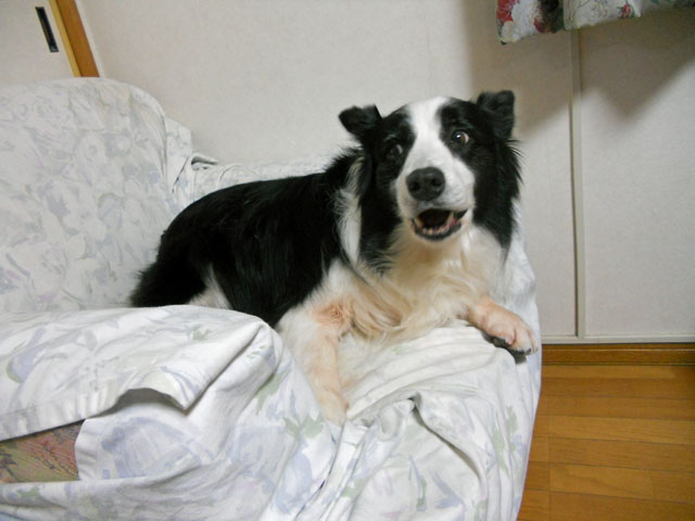 d0059230_8363620.jpg