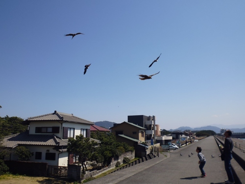 海もいいね~!! 沼津⇐ライド!_f0304030_9361747.jpg