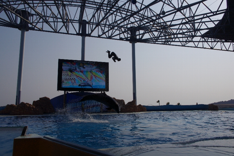 c0113733_043514.jpg