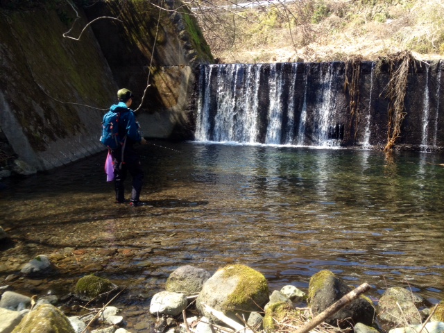 酒匂川水系 U川K川釣行 その2_c0149633_19072704.jpg