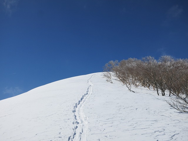 ２０１４・３・１７不忘山_f0003138_14282884.jpg