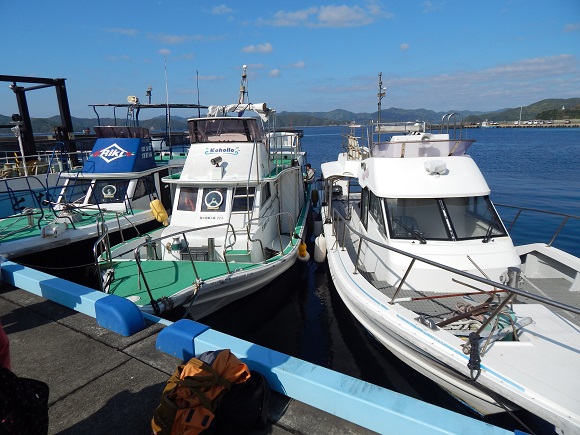子供調査 イルカ&クジラ見つけ隊_f0062839_6583713.jpg