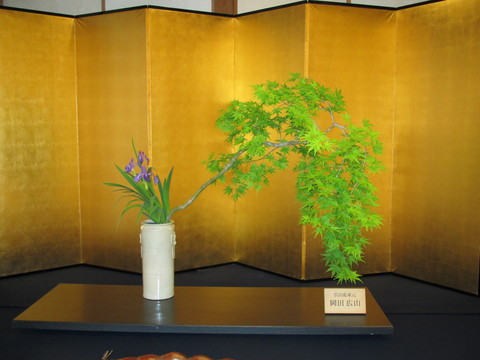 c0076141_17481359.jpg