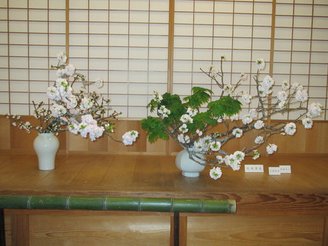 c0076141_17483019.jpg
