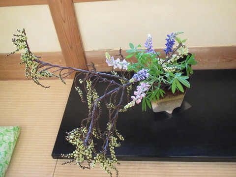 c0076141_17541946.jpg