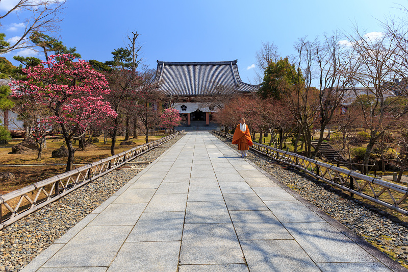 智積院・梅園_f0155048_22354994.jpg