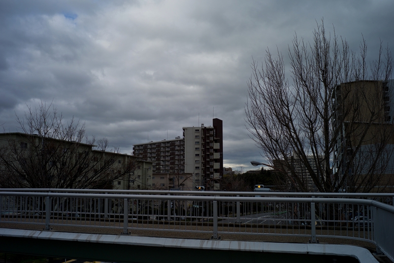 f0323351_10112250.jpg
