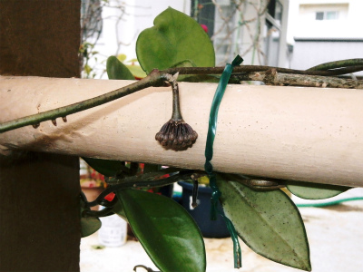c0180460_1733756.jpg