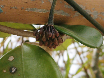 c0180460_17345187.jpg