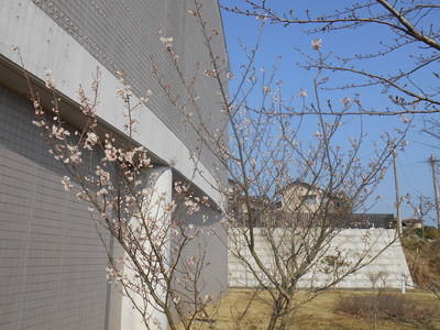 f0296368_15111320.jpg