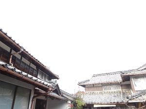 母の実家へ_d0195183_1393327.jpg
