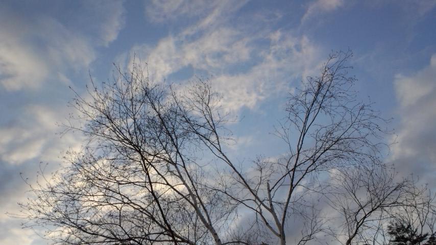 a0130586_20143964.jpg