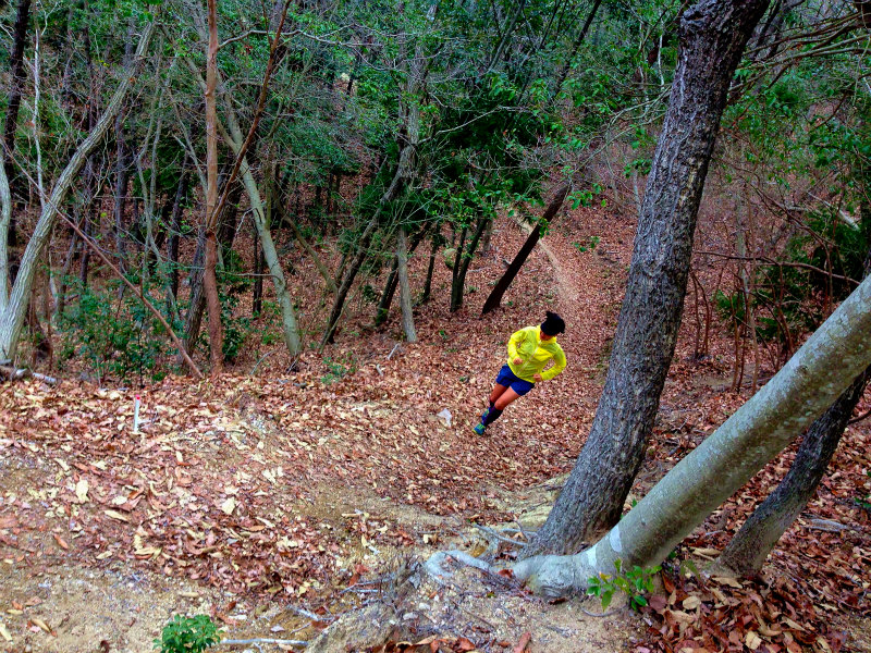 兵庫県　明神山　Mountain Running 2014/03/25　_b0220886_0444024.jpg