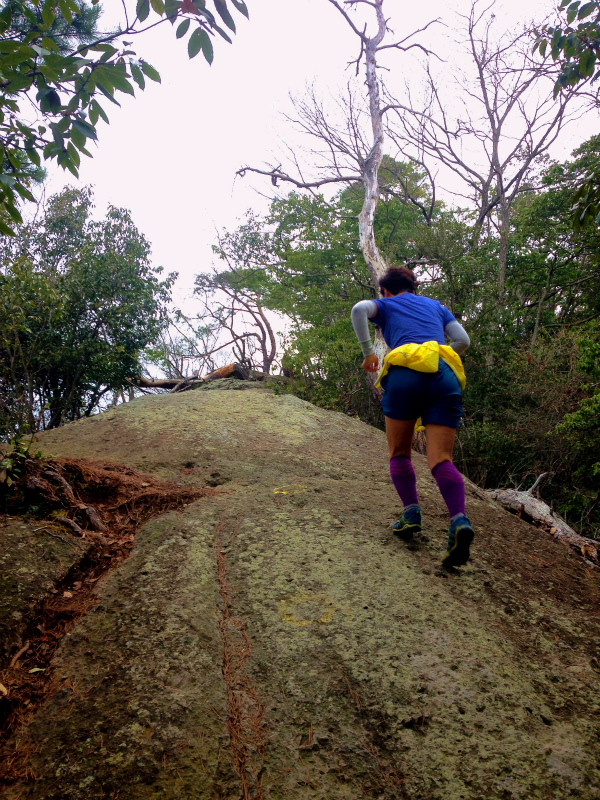 兵庫県 明神山 Mountain Running 2014/03/25 _b0220886_0491868.jpg