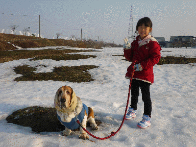 f0205887_1610559.gif